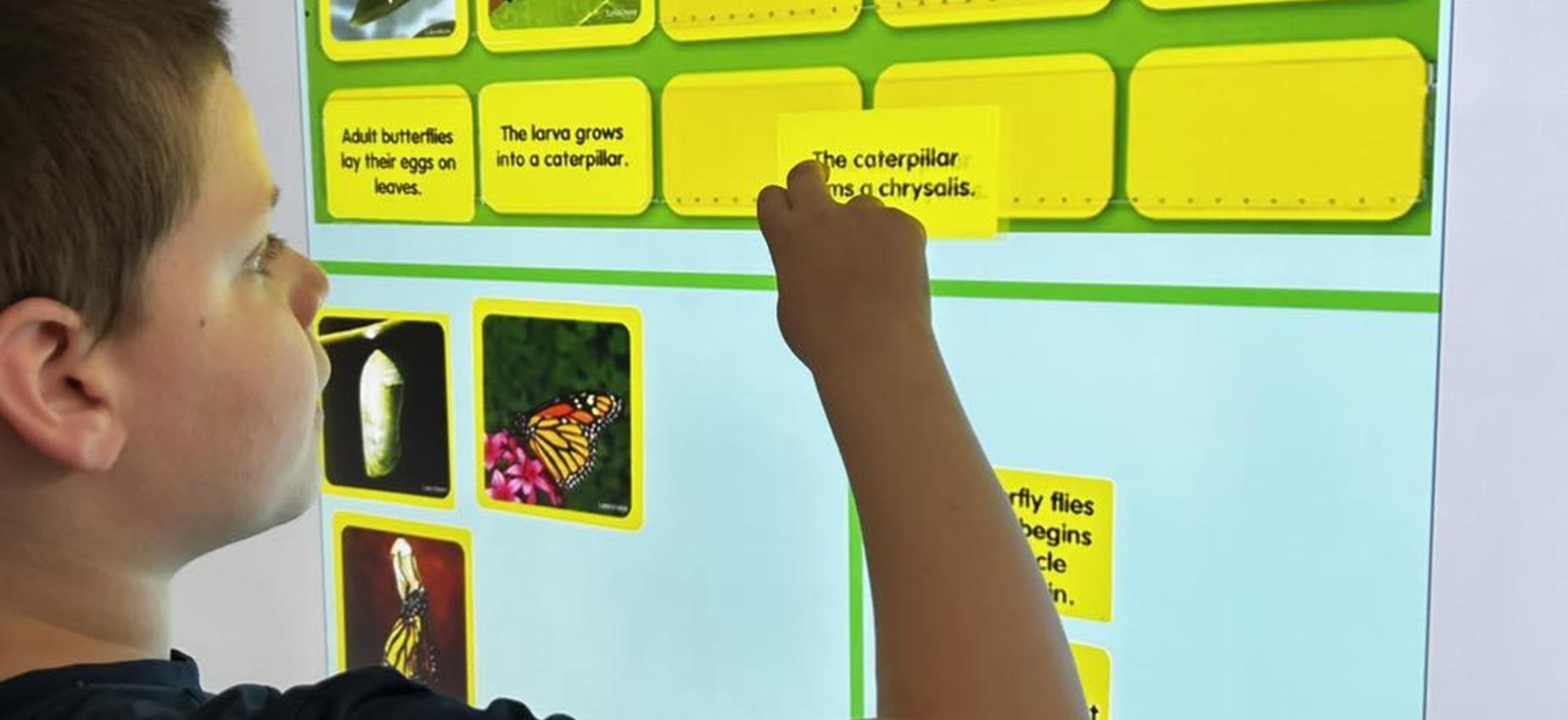Child interacting with an educational touchscreen about butterflies.