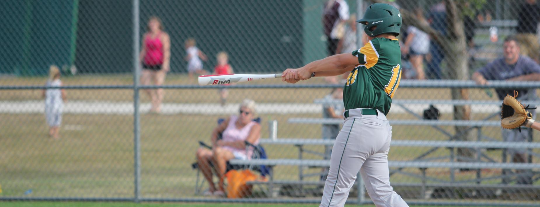 Baseball batter