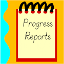 progress report