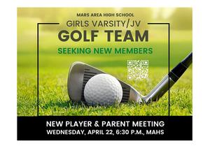 an image of a golf club behind a golf ball on a golf course