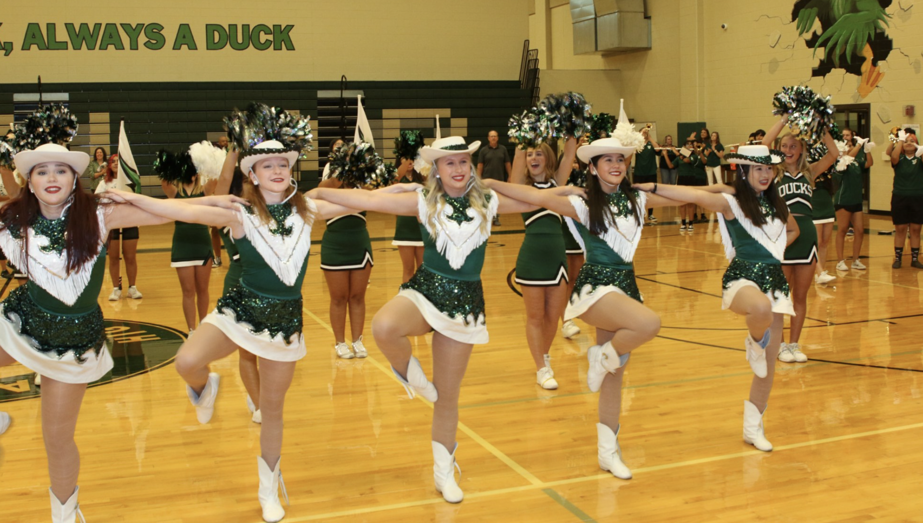 Hi-Steppers