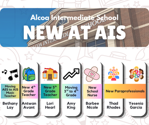 new to AIS graphic