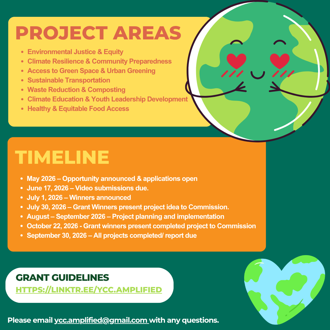 Flyer page 2