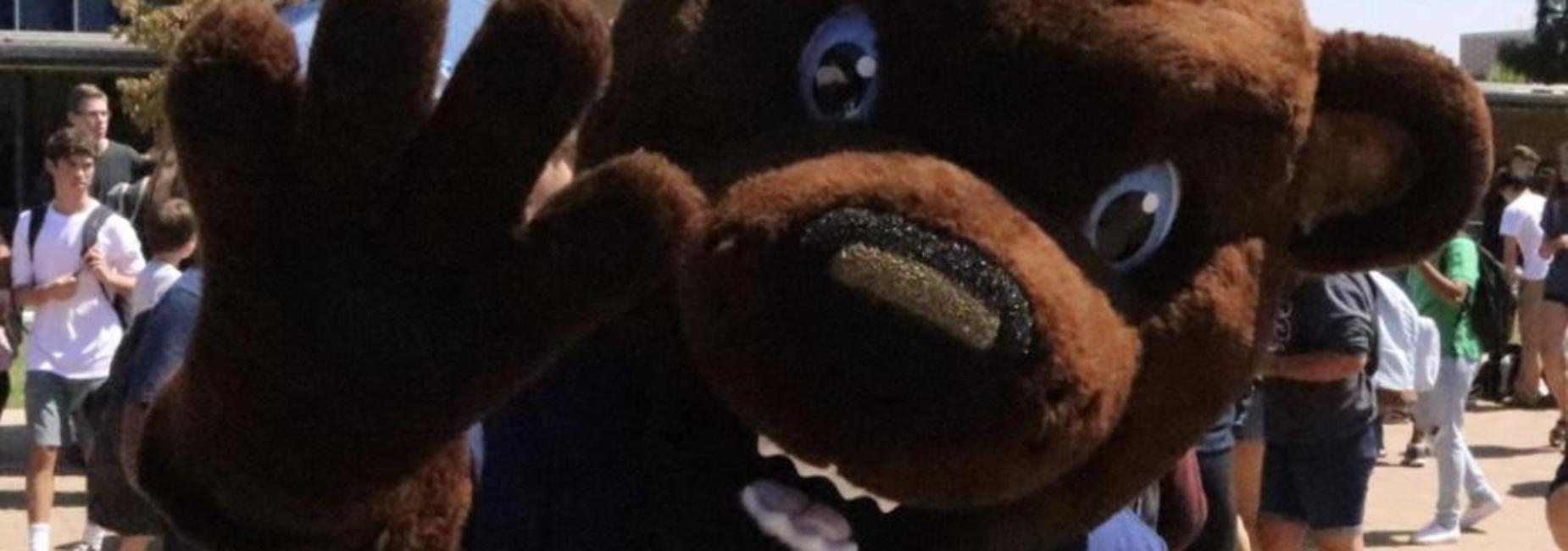 Blue the Bruin