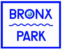 bronx