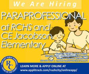 Paraprofessional