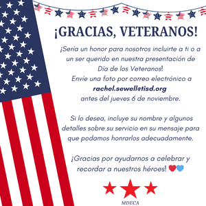 Spanish Veteran's Day Flyer