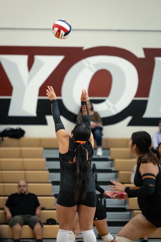 volleyball picture