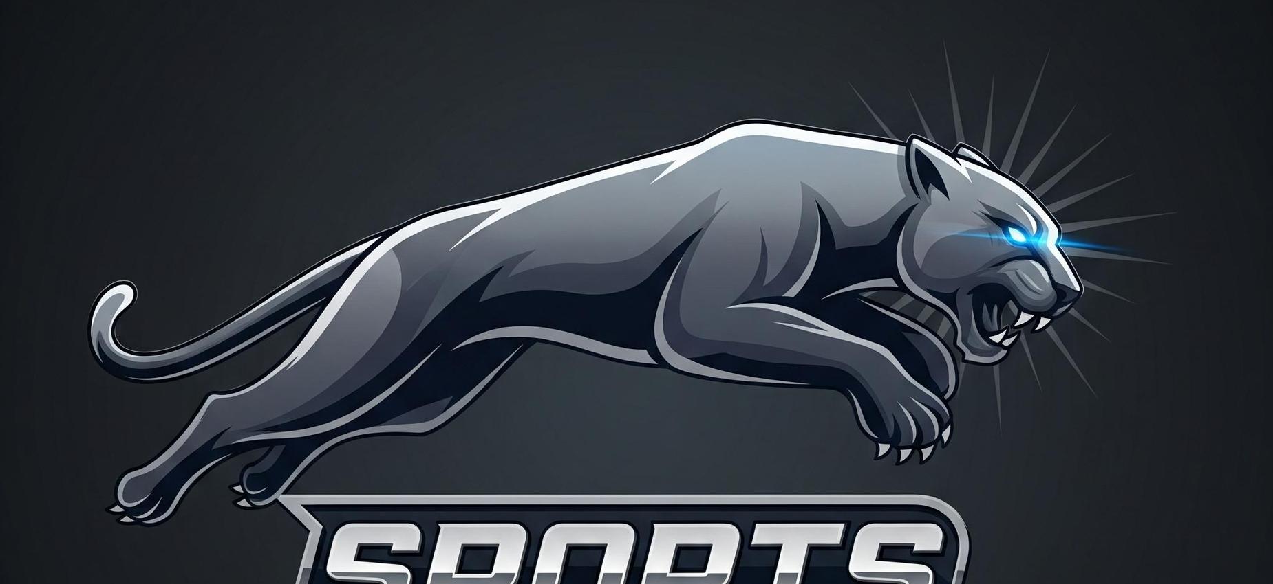 Panther Sports