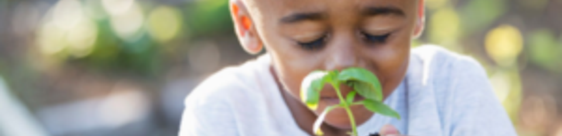 Student holding a plant in a school garden
