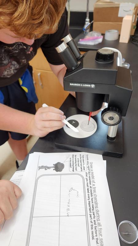 Zoology students doing their own research