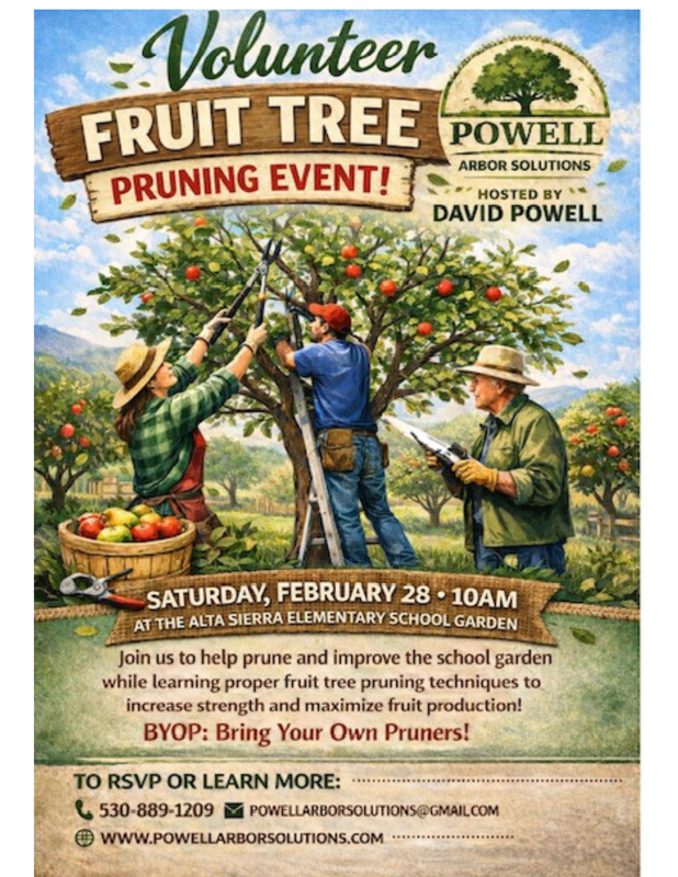 Fruit Tree Pruning