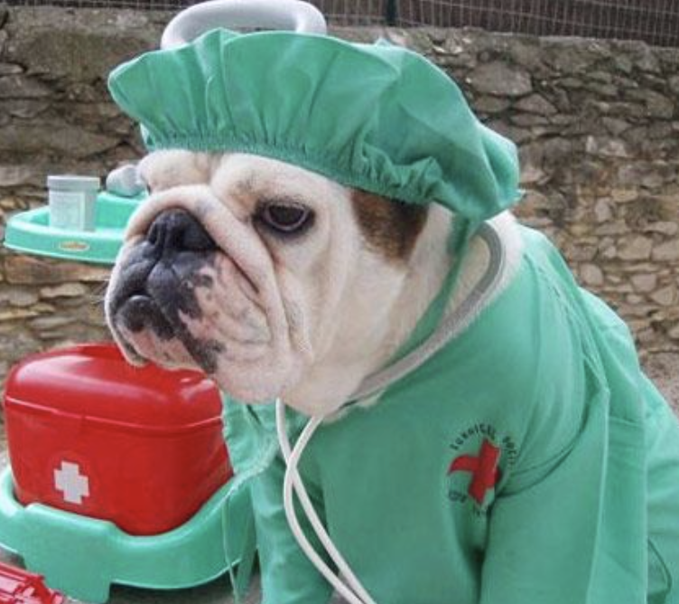 Bulldog Doctor