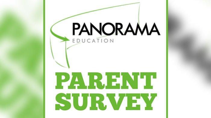 Panorama Survey art