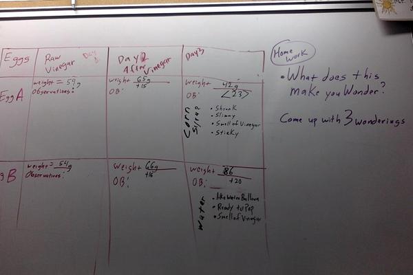 Photo on 2-8-19 at 3.09 PM.jpg