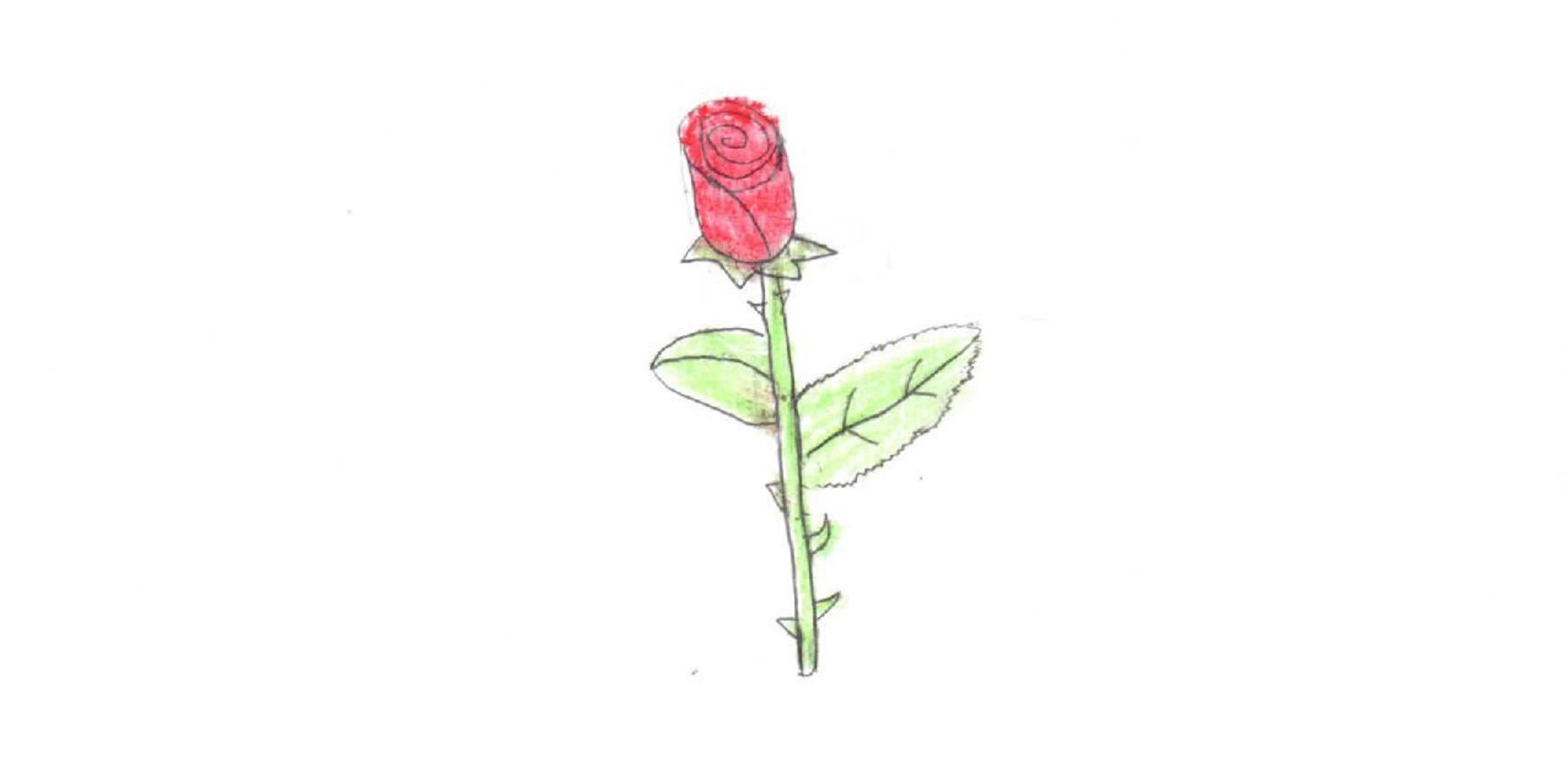 Student Artwork