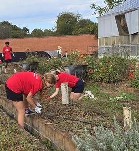 JRDS 8th graders work at Lynchburg Grows.