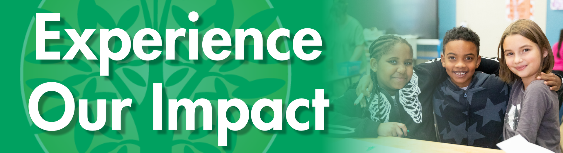 Experience our impact title heading