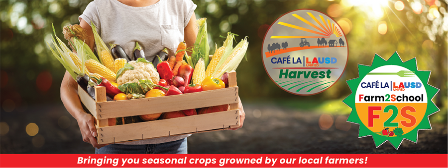 Bringin you seasonal crops grown by our local farmers