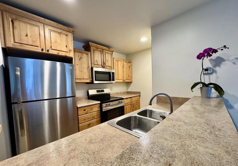 An apartment kitchen with knotty alder cabinets and stainless steel appliances