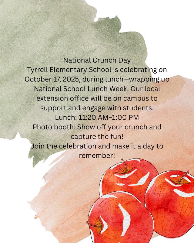 National Crunch Day Flyer