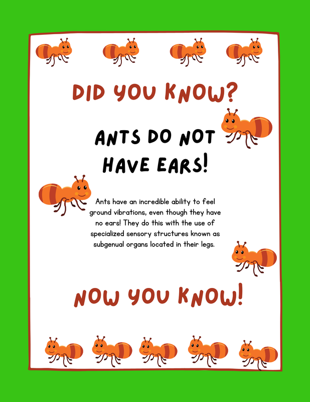 Colorful poster about ants lacking ears, featuring playful illustrations of ants.