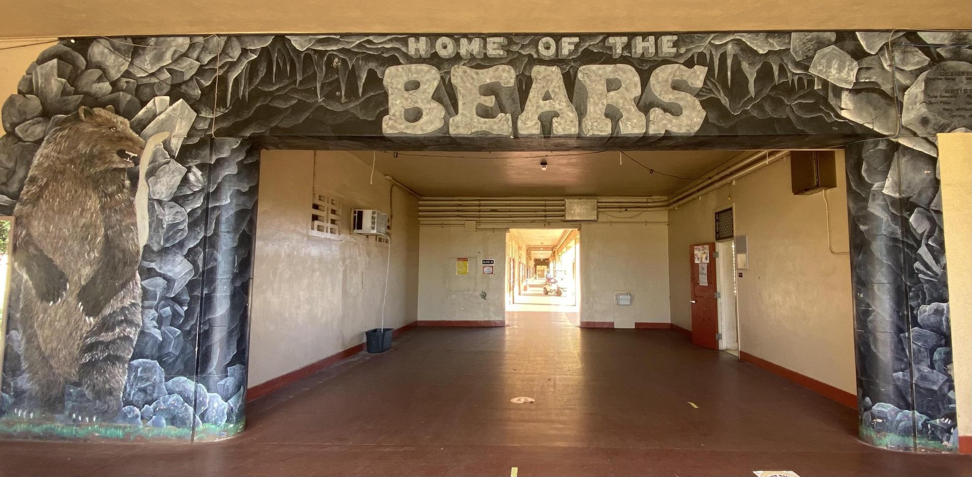 bear cave