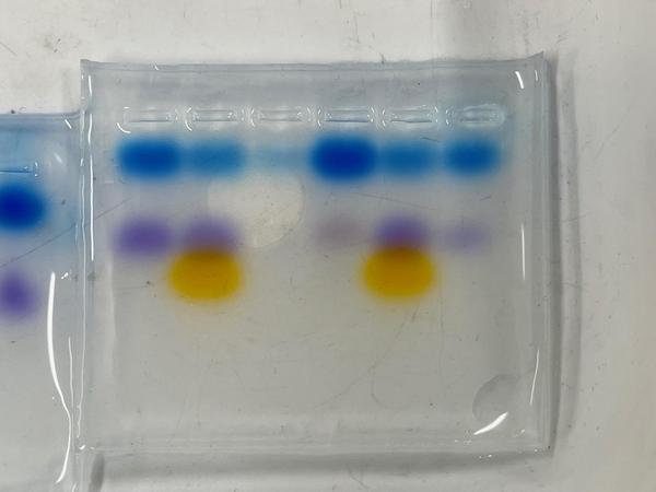 Gel 1.2B Mar2023.jpg