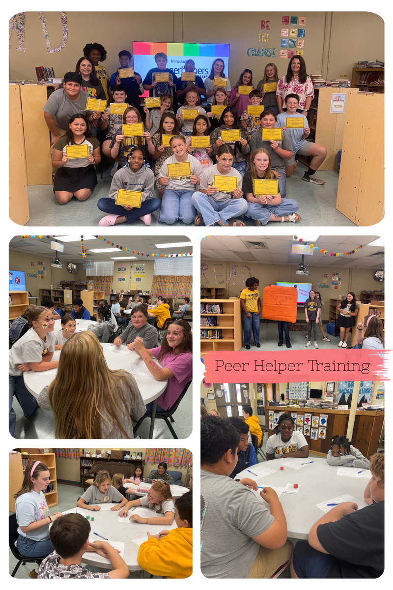 Peer Helper training