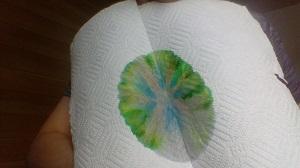 chroma flowers