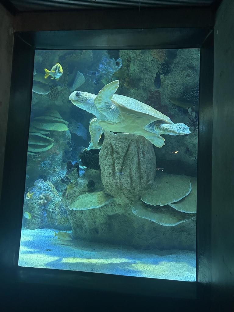 Aquarium
