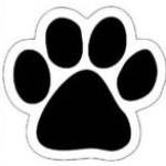 AmandaSanchez's Profile Photo