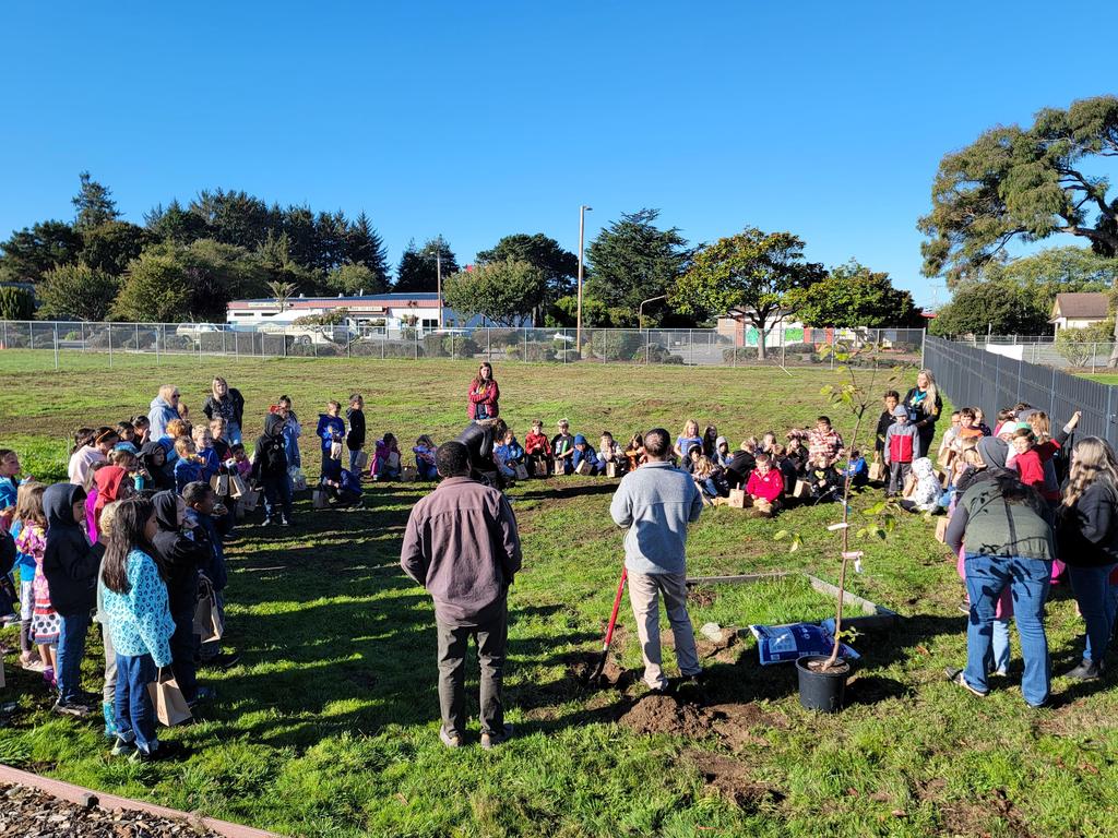 students in large circle getting ready to plant tree