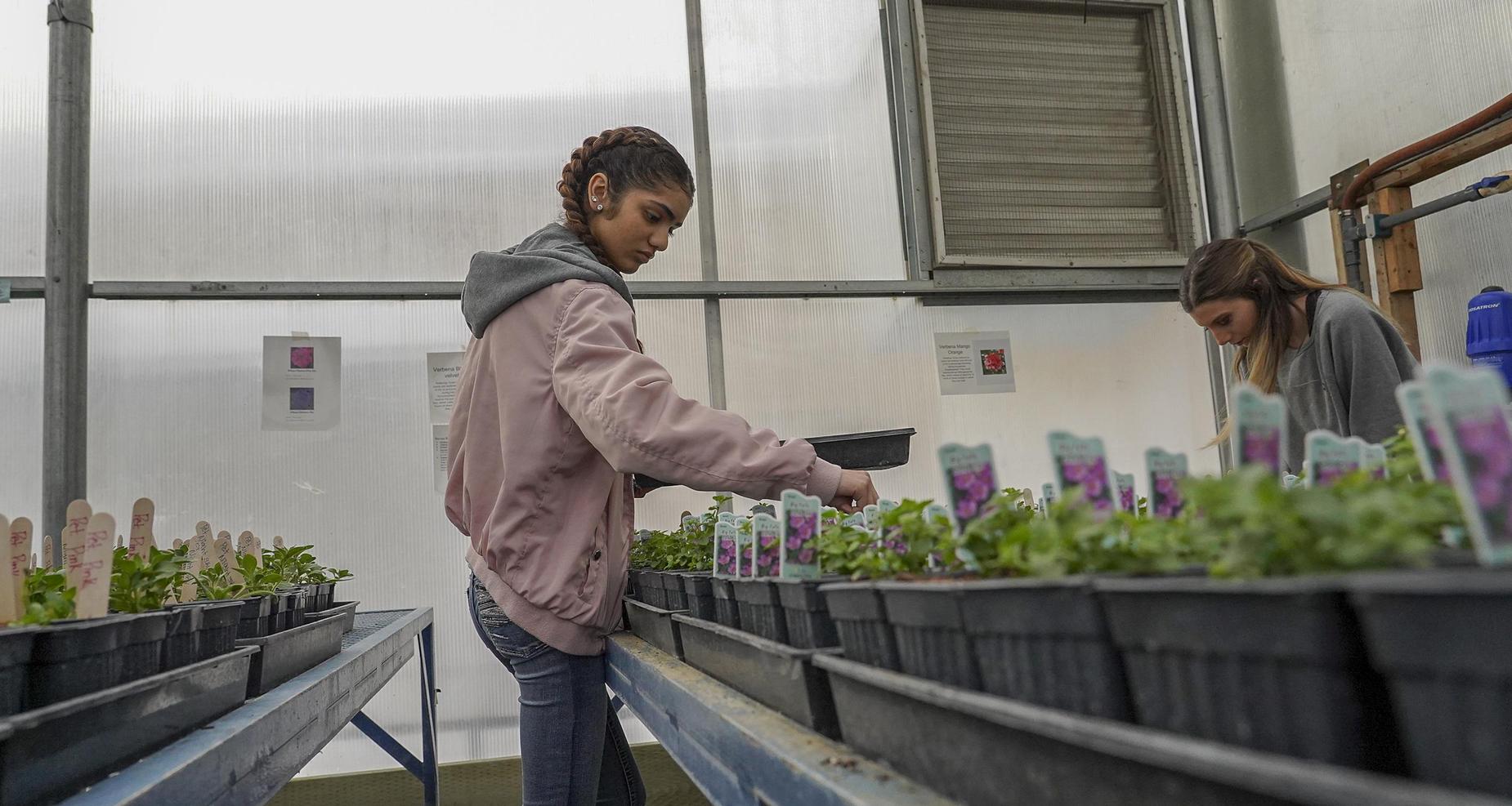 girls greenhouse