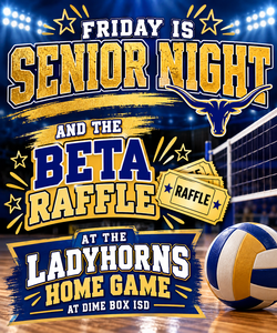 Volleyball Senior Night and Raffle Poster.png