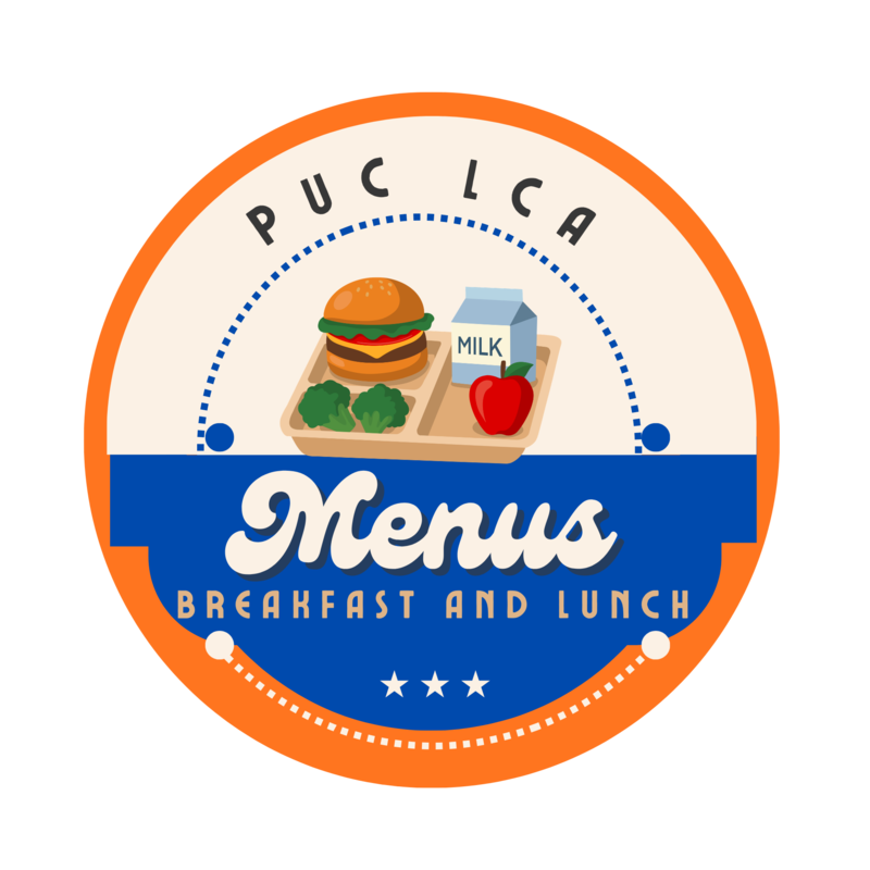 School lunch featured with milk, burger, and vegetables.