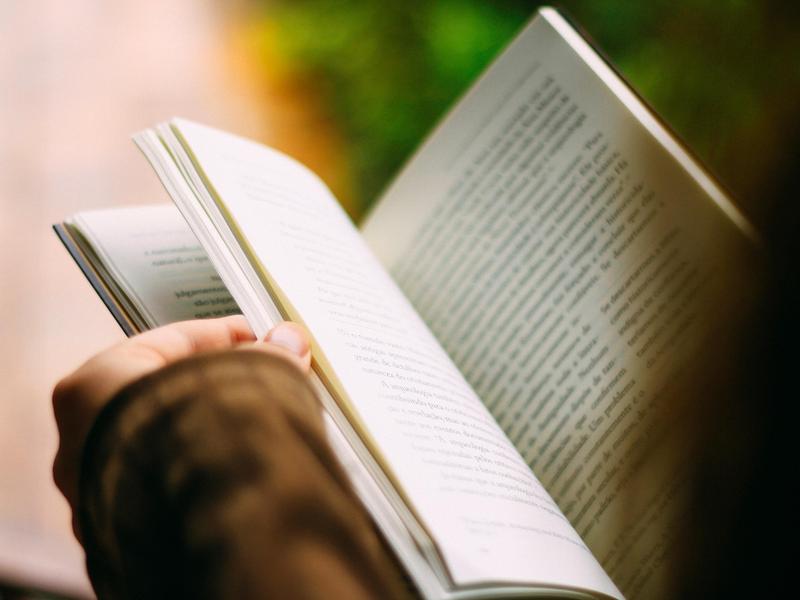 Close-up of hands holding a book with pages open amidst greenery.