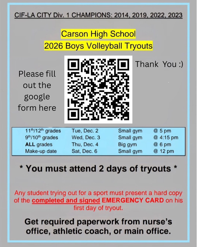 Carson Boys Volleyball Flyer