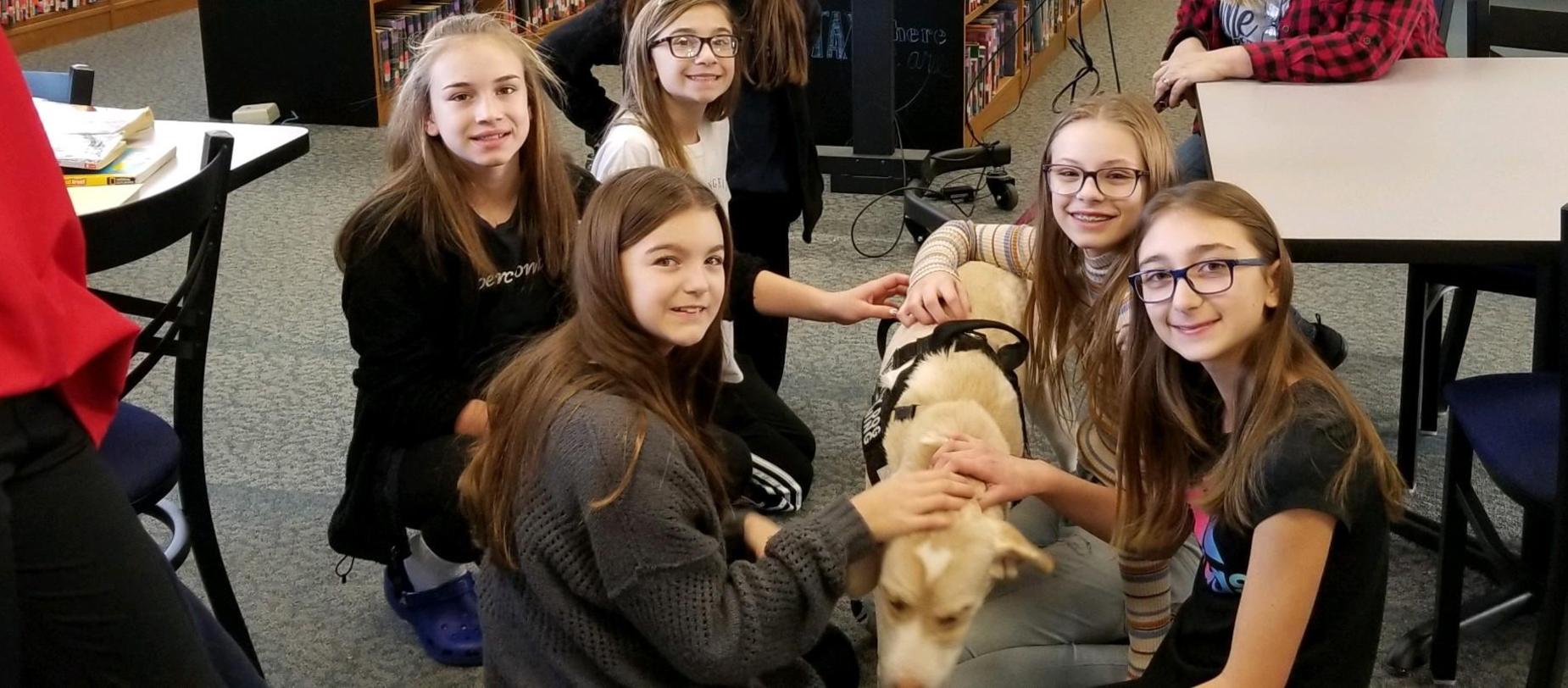 Therapy Dogs