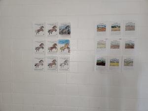 Coloring contest entries hanging on a wall.