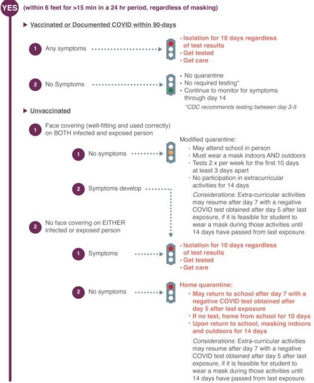 student symptom tree