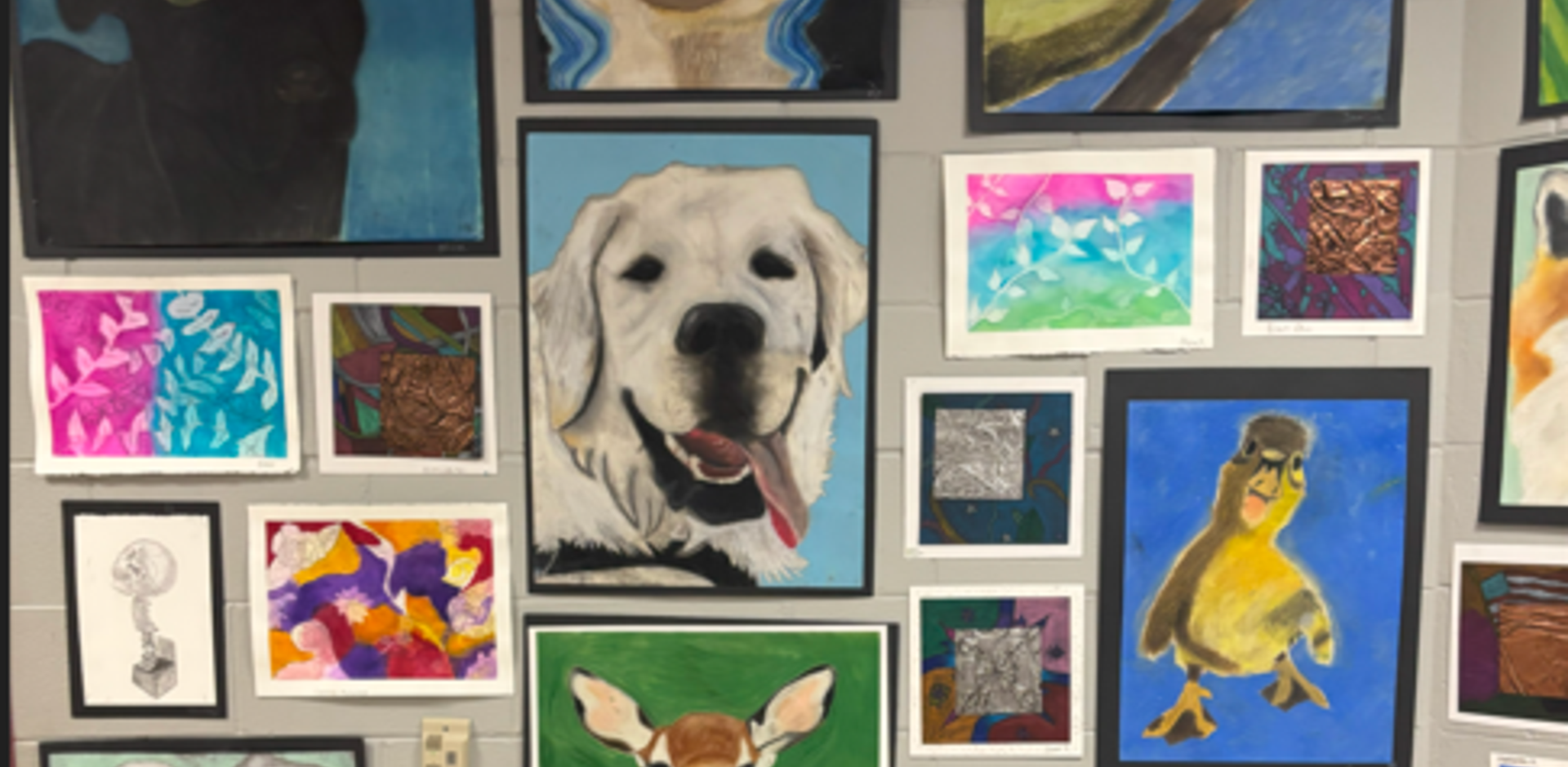 Artworks featuring animals and colorful designs displayed on a gallery wall.
