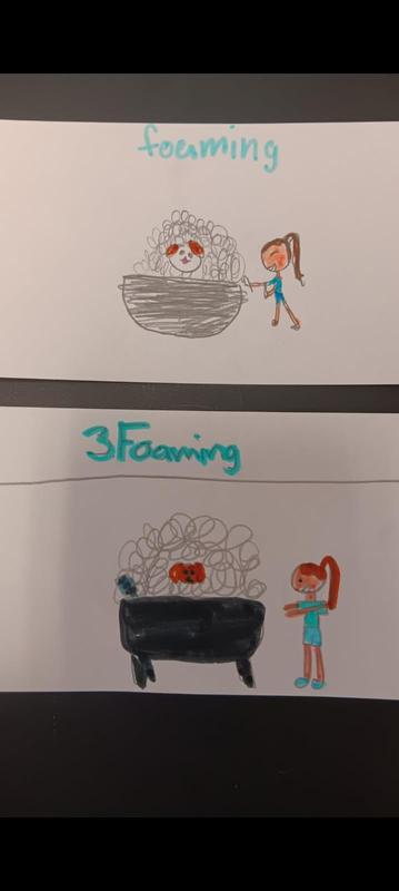 Principal's Letter Faith Reflection