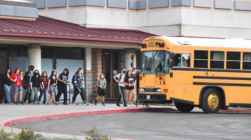 busses
