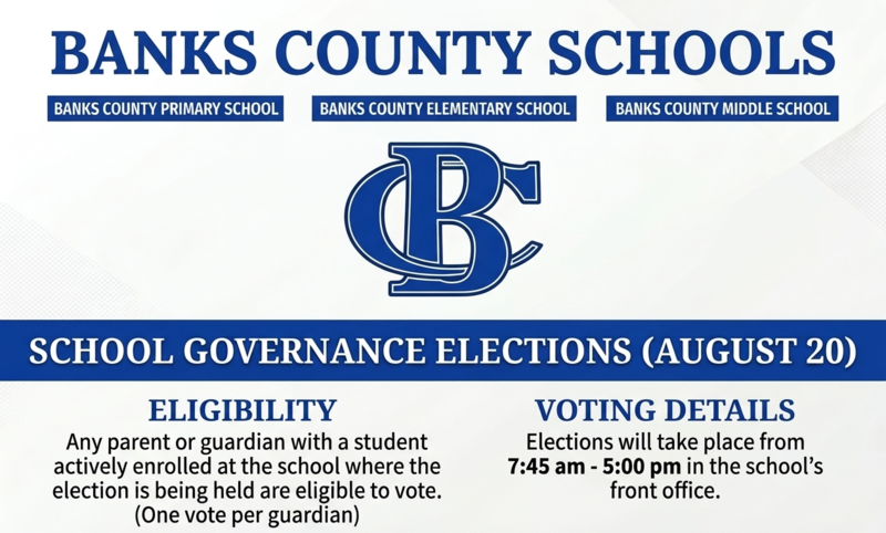 Governance Elections