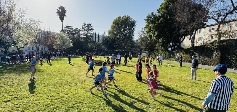 Flag football
