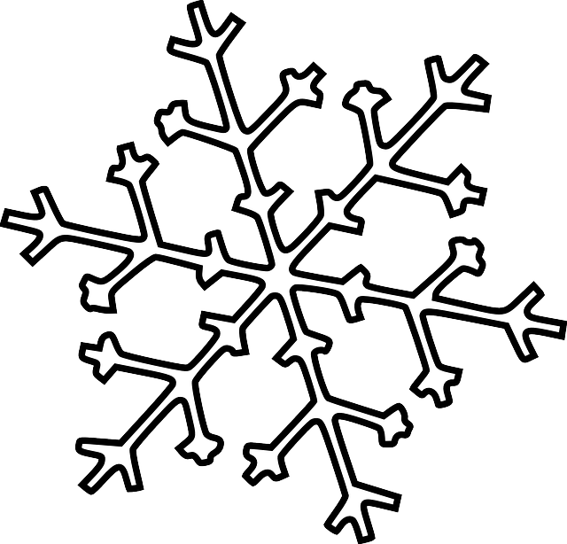 Snowflake