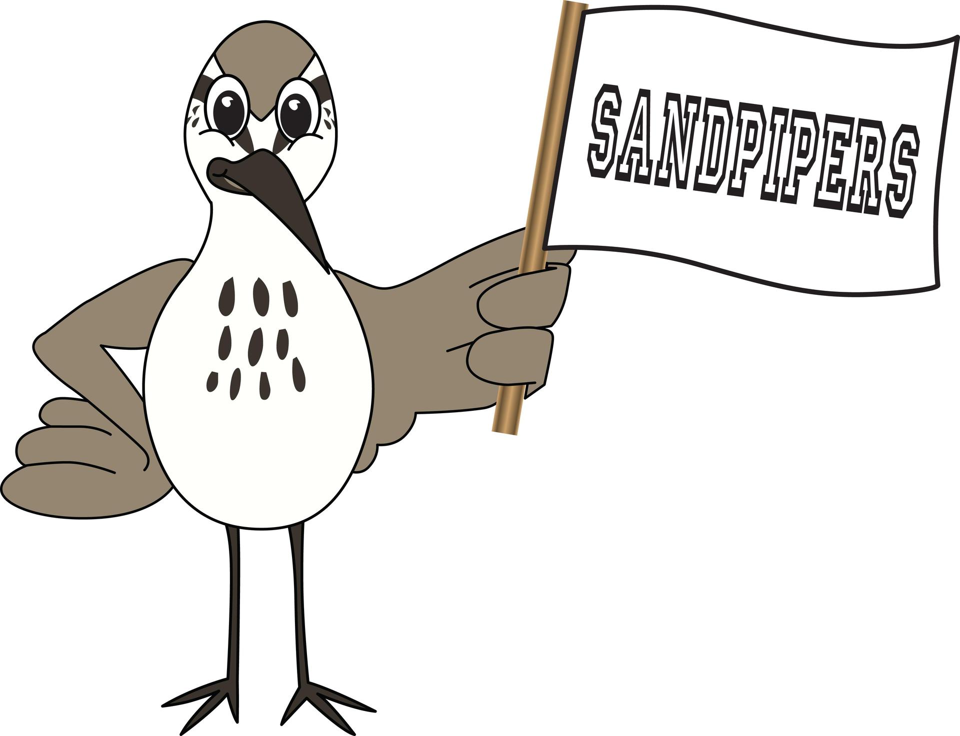 Sandpiper