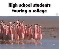 JOIN US FOR UPCOMING COLLEGE TOURS! Featured Photo