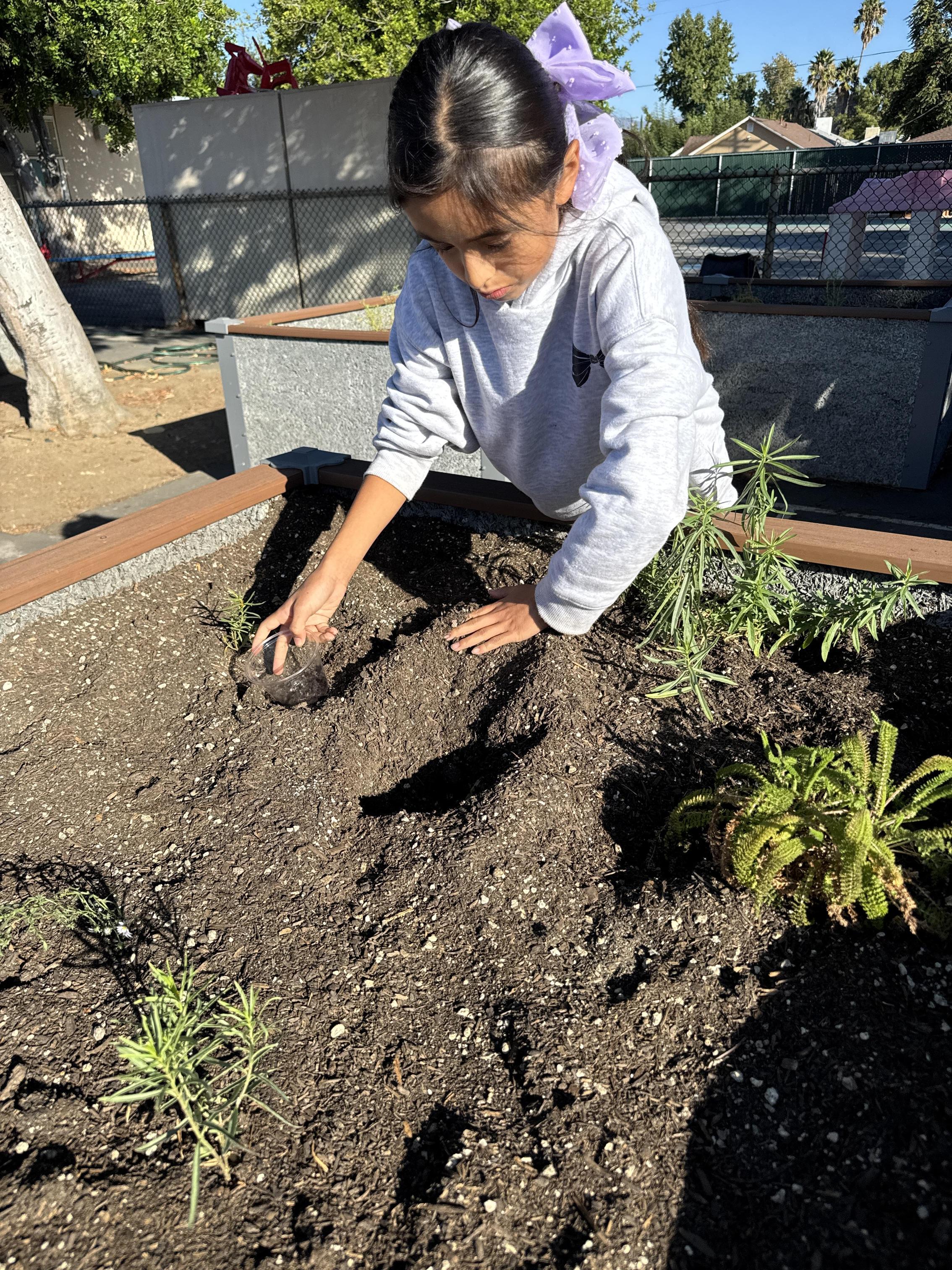Students working on stewardship project